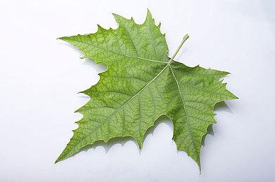 暴雪承认《暗黑破坏神4》太简单 下赛季将更具挑战性